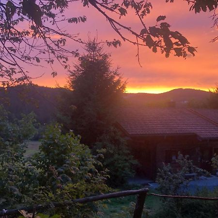 Ferienhaus Schlagintweit Drachselsried Εξωτερικό φωτογραφία