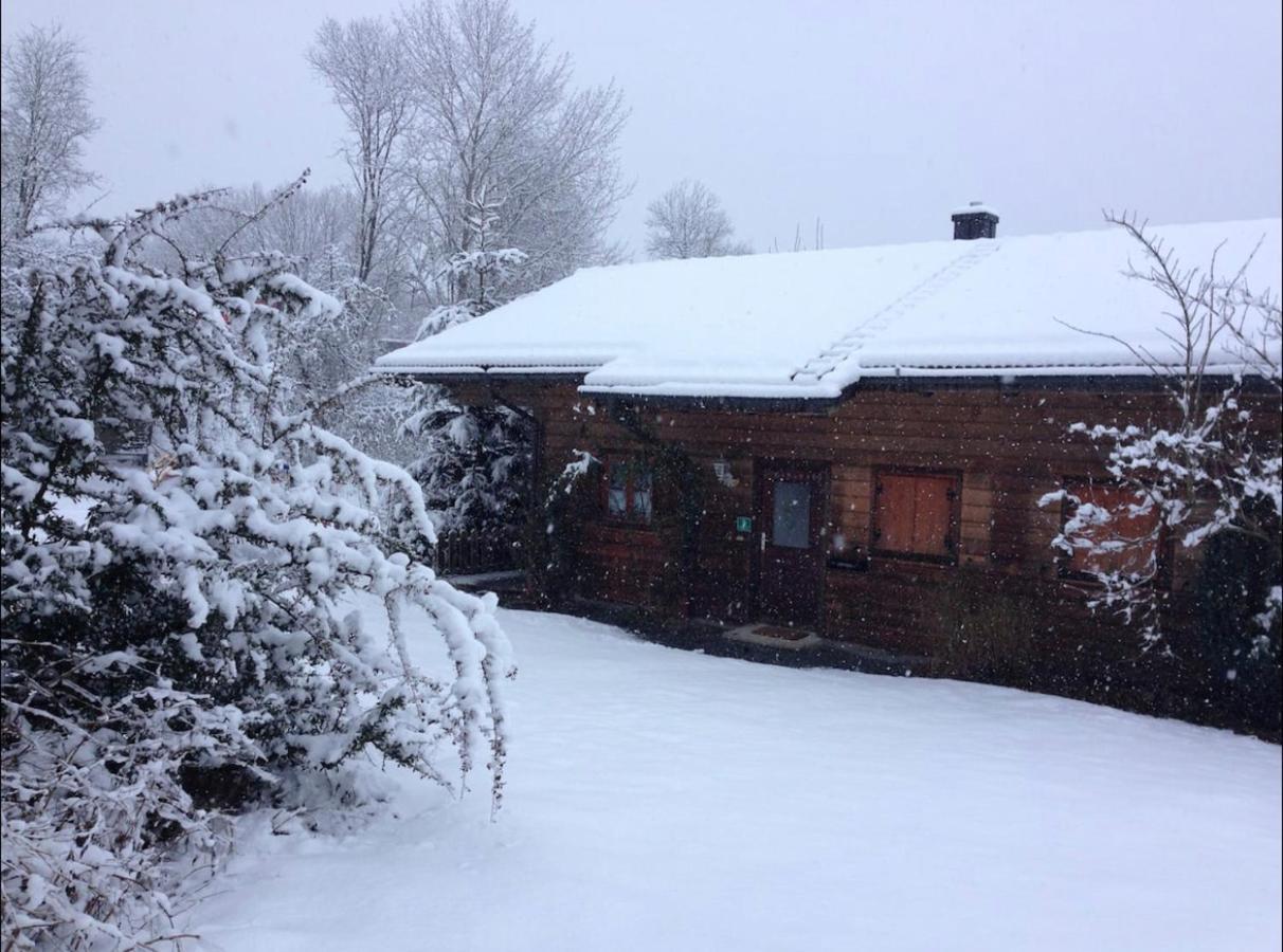 Ferienhaus Schlagintweit Drachselsried Εξωτερικό φωτογραφία