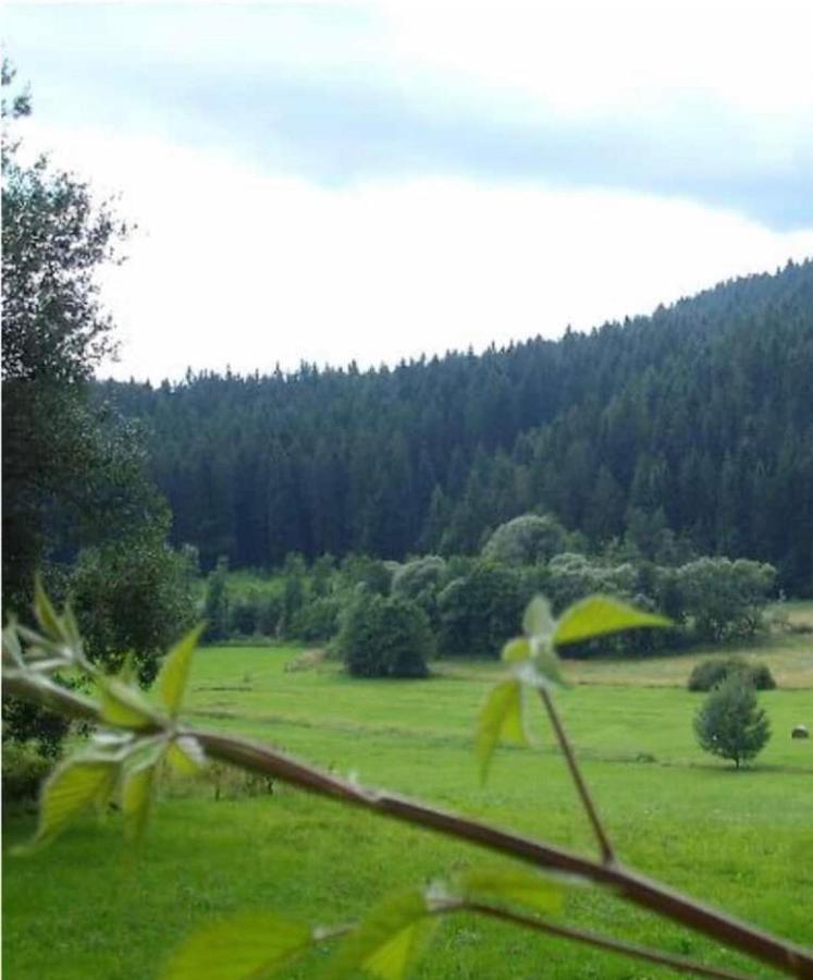 Ferienhaus Schlagintweit Drachselsried Εξωτερικό φωτογραφία
